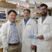 Expanded role of PARP proteins opens the door to explore new therapeutic targets in cancer, other diseases