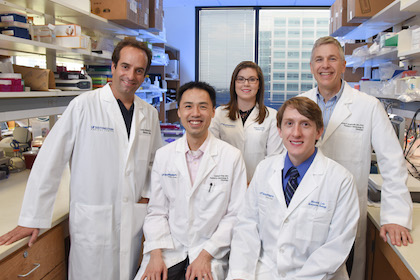 UTSW scientists identify new mechanisms underlying pediatric kidney cancer