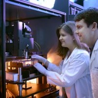 UT Southwestern acquires next-generation microscopes to create whole brain imaging facility