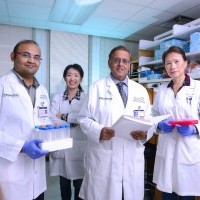 Researchers identify process that causes chronic neonatal lung disease
