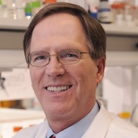 Scientists discover novel protein partnership that provides vascular protection