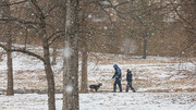 Two walkers and their canine friend enjoy a venture out on the snowy grounds on campus.