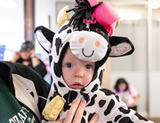 Take a look at this adorable costumed cow.