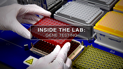 Inside the lab with many samples