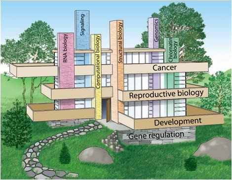 Illustration of a building with pillars and floors named gene regulation, development, reproductive biology, cancer, chromatin biology, genomics, structural biology, computational biology, signaling, and RNA biology.