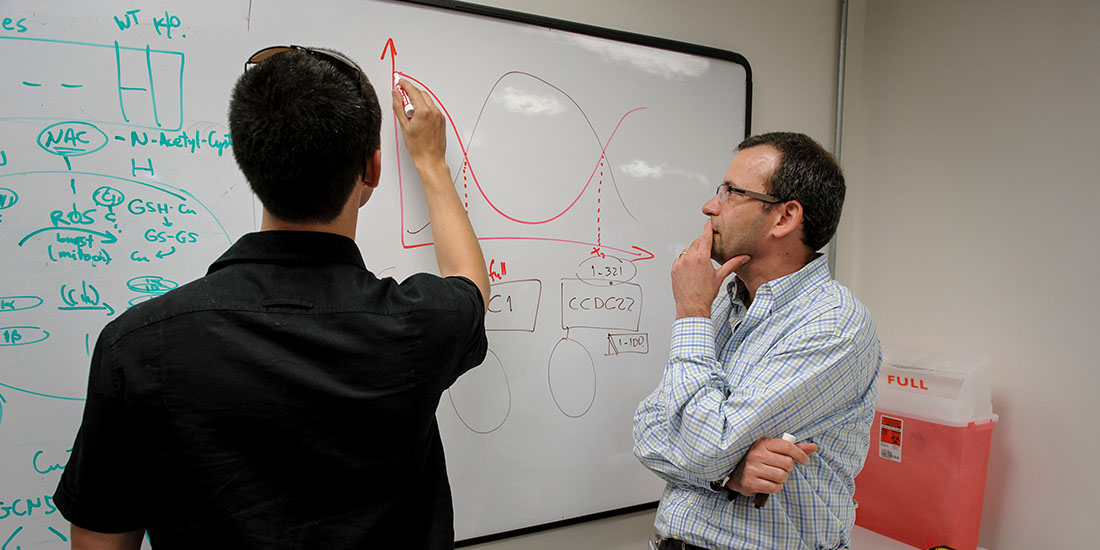Two men in a laboratory setting looking at whiteboard with research data drawings.