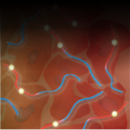 Molecular and translational nanomedicine image