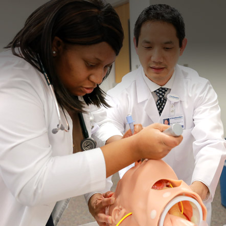 Master of Physician Assistant Studies image
