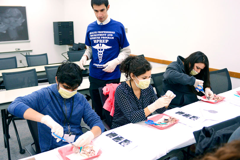 High school students work on a dissection project in the HPREP program. 