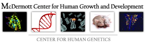 Eugene McDermott Center for Human Growth & Development: Center for Human Genetics image