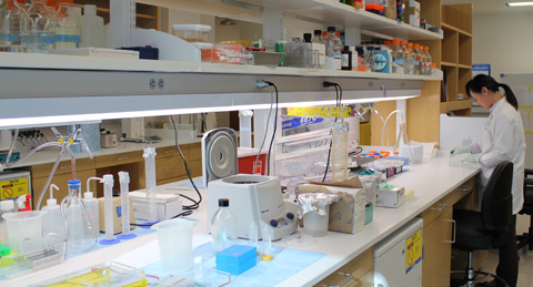 New lab space in Biomedical Research Building.