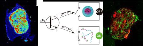 graphic of proteins