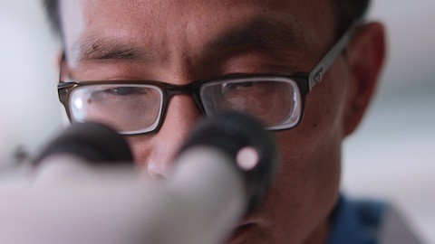 Xianming Huang, Ph.D., stars in the latest round of commercials for UT Southwestern Medical Center. Dr. Xianming Huang