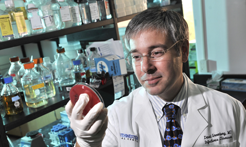 Dr. David Greenberg, assistant professor of internal medicine and microbiology, checks a sample for growth of Acinetobacter bacteria as part of a study that tested a new type of antibiotic called a PPMO.
