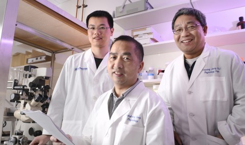 Dr. Jiangtao Guo, Weizhong Zeng, Dr. Youxing Jiang