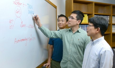 UT Southwestern researchers involved in a study that found a causal link between an immune system enzyme and autoimmune diseases included (l-r) Dr. Tuo Li, Daxing Gao, and Dr. Zhijian “James” Chen.