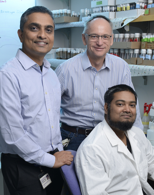 Drs. Chandrashekhar Pasare, Helmut Krämer, and Mohammed Ali Akbar.