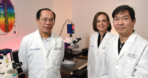 Dr. Wei-Chung “Daniel” Chiang, Dr. Beth Levine, and Dr. Yongjie Wei