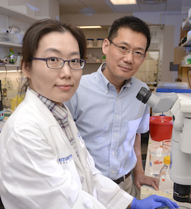 Dr. Eunhee Choi and Dr. Hongtao Yu