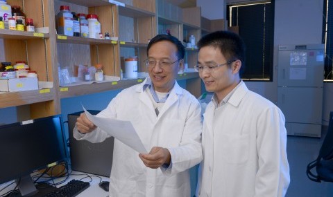 Dr. Yang-Xin Fu (left) and Dr. Haidong Tang