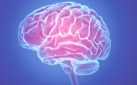 Results from research of O'Donnell Brain Institute Programs