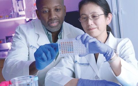 Dr. Ian Corbin (left) and Dr. Xiaodong Wen look over lab samples from their study of an experimental nanoparticle therapy that shows promise for fighting primary liver cancer.