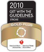 Gold Plus Performance Achievement award graphic