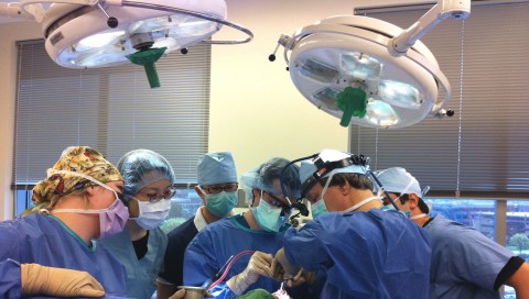 Plastic Surgery Utah on Leadership   Department Of Plastic Surgery   Ut Southwestern Medical