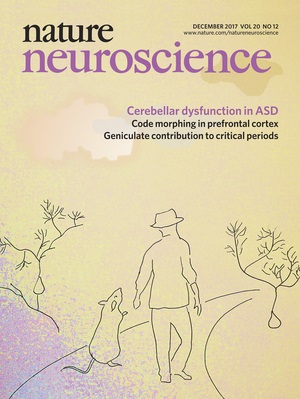 December edition of <em>Nature Neuroscience</em> 