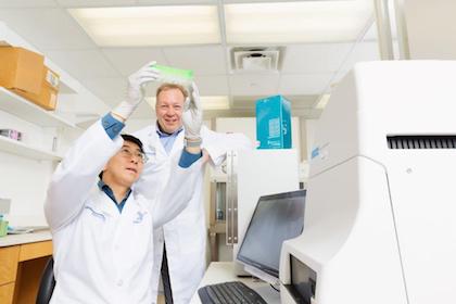 Dr. Yu A. An, first author of a new study on fat cell dysfunction, shows a seahorse plate used to measure metabolic activity in fat, to Dr. Philipp Scherer, senior author of the study.