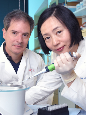 Dr. Corey and Dr. Liu in lab
