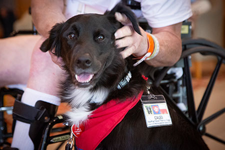 Photo of a dog sitting and looking at the camera. The dog is wearing a straw hat and blue bandana.