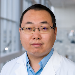 Qing Zou, Ph.D. 
