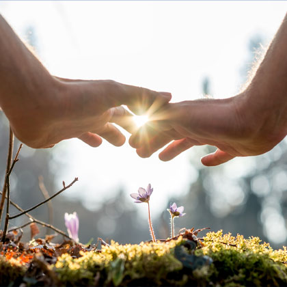 two hands in front of sunlit flowers