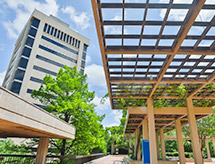 Building next to plaza with wood cover