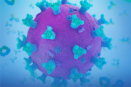 The COVID-19 virus