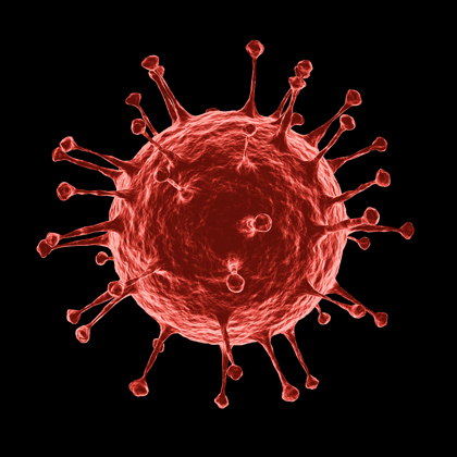 The coronavirus with its spikes