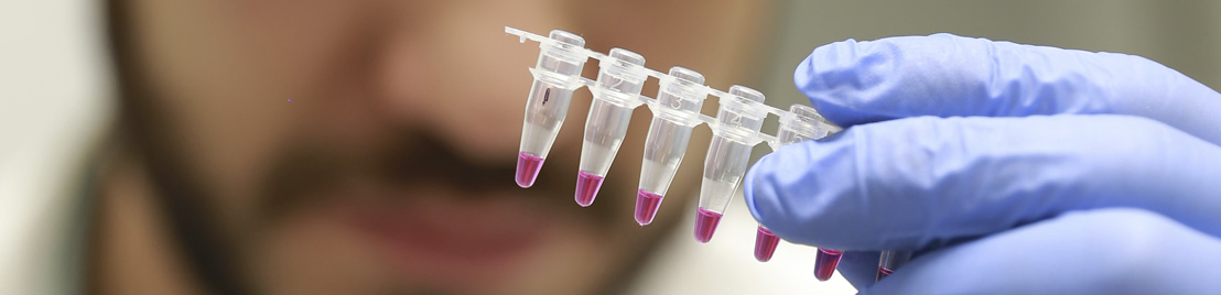 A man viewing a test tubes in lab