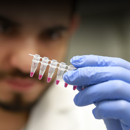 A male researcher examining test tubes