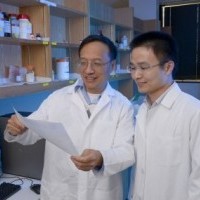 Researchers’ work shines LIGHT on how to improve cancer immunotherapy