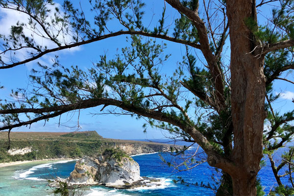 Ocean view of there Northern Mariana Islands with a tree along the shoreline.