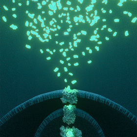 biosensor-thumbv2.jpg