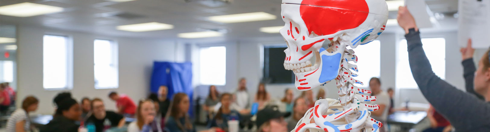 Neurological Physical Therapy banner image