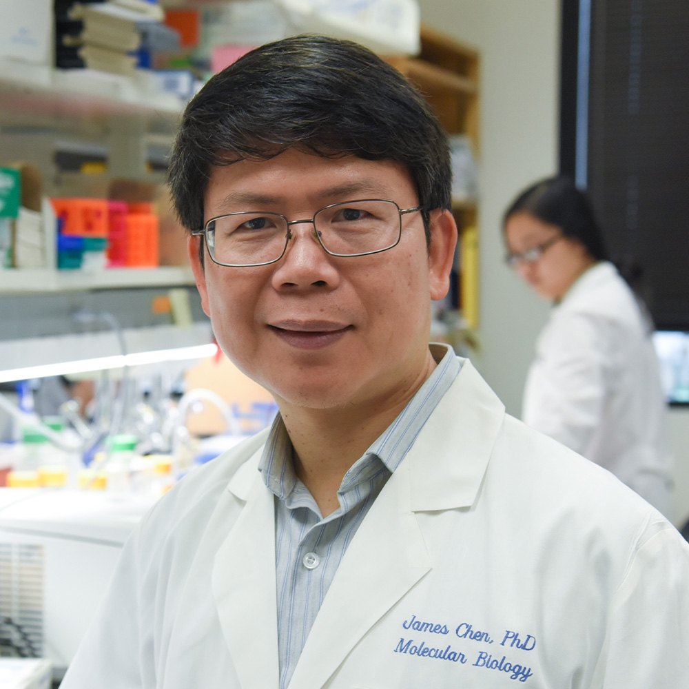 UT Southwestern biochemist Zhijian ‘James’ Chen to receive prestigious Horwitz Prize