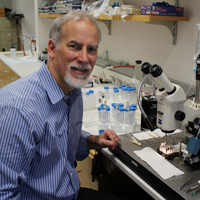 Dr. Stephen Cannon’s lab creates first mouse models in the world with periodic paralysis
