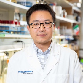 UT Southwestern researcher wins NIH Director’s Award to study the inner workings of glial cells in the brain