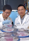 Protein associated with aggressive breast cancer.