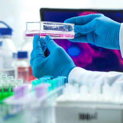 UTSW researchers boost the power of CAR T cells to fight cancer