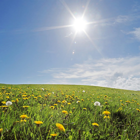 Reestablish consistent sleep patterns to adjust to daylight saving time