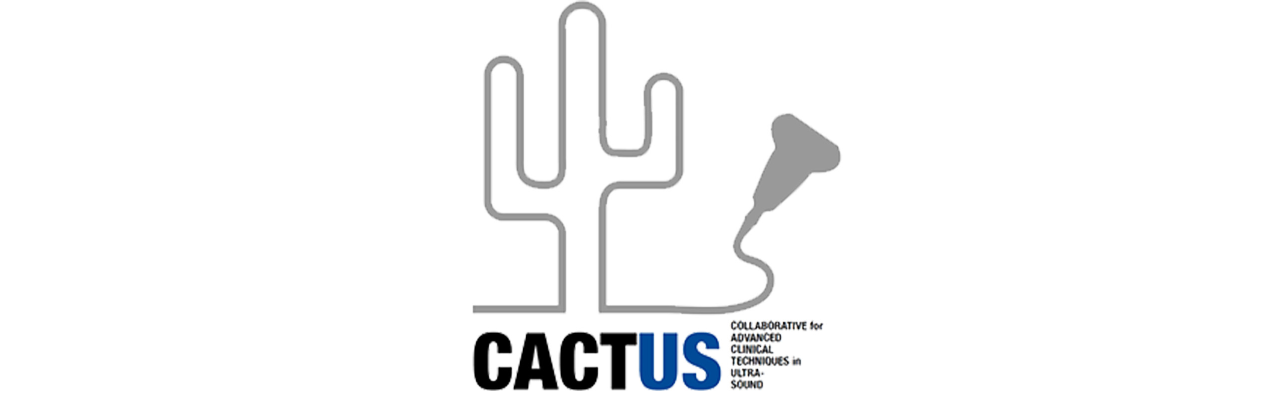 cactus-desktop-banner.jpg